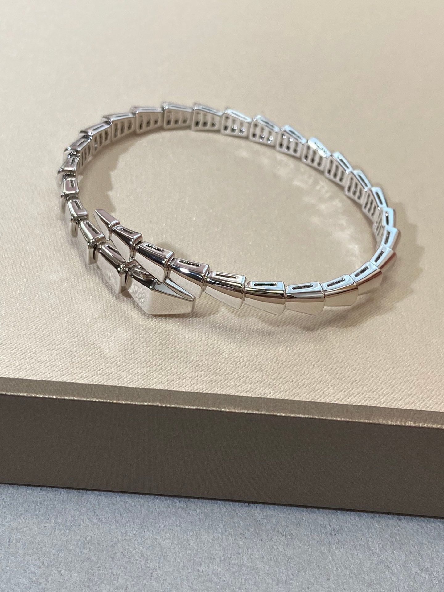 [Psychic Jewelrys]SERPENTI VIPER SILVER BRACELET